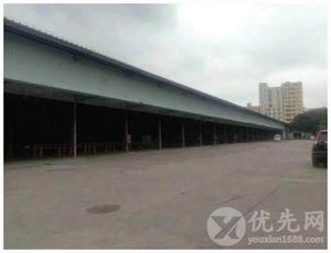 西乡钢结构10000平米厂房出租