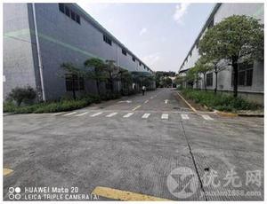 广州荔湾钢结构3500平米厂房出租